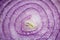 A heap of fresh sliced red onion rings. Image on