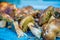 Heap of freshly gathered Boletus edulis mushrooms laying on the blue background