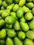 A heap of green strong avocados, juicy and bright, grouped on a market