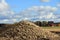 Heap of Harvested Sugar Beet