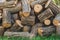 Heap of large sawn tree trunks background