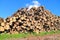 Heap of logs