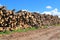 Heap of logs on sawmill in sunny day