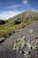 heap of Loos-en-Gohelle, highest heap of Europe