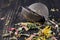 Heap of loose herbal tea on wooden table