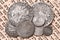 Heap of old silver coins on open Siddur page. Selective focus. Closeup