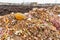 Heap of organic waste at compost recycling station