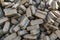 Heap of peat briquettes, alternative fuels