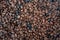 Heap of perfectly roasted coffee beans, closeup shot