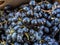 A heap, pile of black dark blue grapes lie on top of each other in a store. Bunches of grapes in supermarket