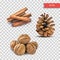 Heap or pile of dry cinnamon bark or chopsticks, walnuts and pine cone isolated on transparent background. Set of Decor Objects fo
