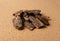 Heap of Pine Tree Bark Chip on Brown Cork Board Background