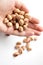 Heap of Pistachio nuts. Handful of pistachios in hand