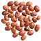 A heap of quality seeds of contrast brown beans, for your adorable garden.