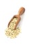 Heap of raw, organic hemp seeds on wooden scoop over white