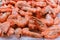 Heap of raw prawn orange shrimps lies on cold ice of refrigerator counter of food market.
