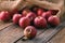 Heap of red apples in burlap bag