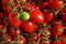 Heap of red cherry tomatoes with one unripe green fruit