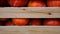 Heap of Red Hokkaido Pumpkins, Cucurbita maxima, In A Wooden Crate