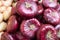 Heap of red raw onions sale at market close up, Allium cepa onion bulb with purple skin, onion variety Red Zeppelin