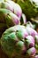 Heap of ripe colorful organic artichokes on plank wood table, natural light, rustic style, healthy food