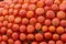 A heap of ripe orange pumpkins, vegetable harvesting, food background. Farmer organic product