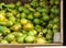 Heap of Ripe Organic Green Yellow and Brown Conference Pears in Big Garden Wood Box at Farmers Market. Bright Vibrant Vivid Colors