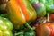 Heap of Ripe Organic Multicolored Bell Peppers Capsicums at Farmers Market. Bright Vibrant Colors. Vitamin Superfoods Healthy Diet