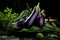 Heap of ripe purple eggplants. Generative AI