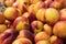 Heap of ripe red yellow aromatic nectarines. Fruit harvest sale. Background backdrop a large number of peaches nectarines in