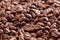 Heap of roasted coffee beans from low angle soft focused
