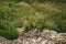 Heap of rocks lies on the grass. pile of stones