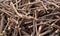 Heap of scattered licorice roots. Food background