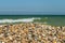 Heap of seashells close-up on the seashore on a summer sunny day