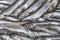 Heap of small seafish capelin