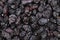 Heap of sun dried fruits Blueberry