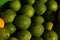 Heap of unripe green mandarins close up.