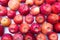 Heap of unwashed red apples mix on wooden background