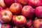 Heap of unwashed red apples mix on wooden background