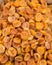 Heap of very dried apricots as background