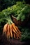 Heap of vibrant fresh carrots at the farmer\\\'s market, locally grown new harvest