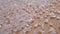 Heap of white crystals of sea salt closeup on a wooden surface.