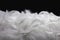 Heap of White Fluffly Feathers on Black Background. Soft Swan Feathers