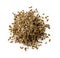 Heap of whole dill seeds isolated on a white background. Organic anethum graveolens fruits pile cutout. Natural spices, seasonings