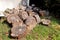 Heap of wood logs ready for winter. Cut tree trunks on grass. Stack of chopped firewood. A pile of woods in the house storage.