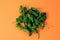 Heaped pile of fresh Padron peppers on orange background