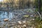 Heaps of construction waste, household waste, foam and plastic bottles on the shore of a forest lake, environmental pollution