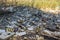 Heaps of construction waste, household waste, foam and plastic bottles on the shore of a forest lake, environmental pollution