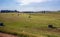 Heaps of hay on the field - rural idyll in Lithuania th View on a sunny day