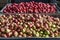 Heaps of organic grown apples sorted by variety in large industrial boxes in a cider factory after the harvest, selected focus